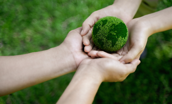 Reasons environment 12